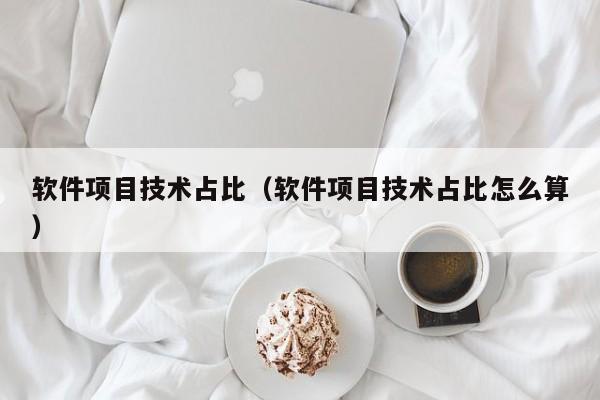 软件项目技术占比（软件项目技术占比怎么算）