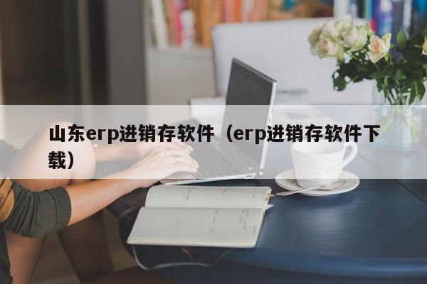 山东erp进销存软件（erp进销存软件下载）