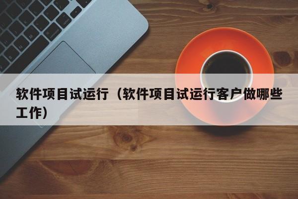 软件项目试运行（软件项目试运行客户做哪些工作）