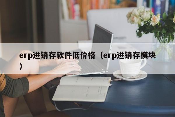 erp进销存软件低价格（erp进销存模块）