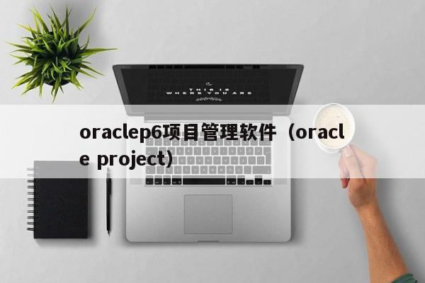 oraclep6项目管理软件（oracle project）