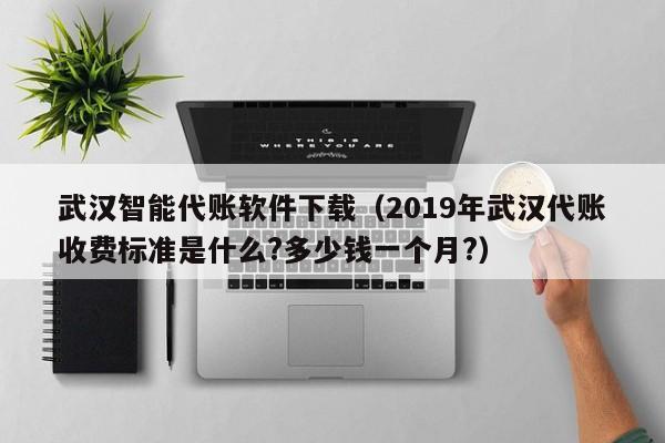 武汉智能代账软件下载（2019年武汉代账收费标准是什么?多少钱一个月?）