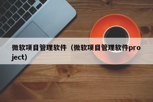 微软项目管理软件（微软项目管理软件project）