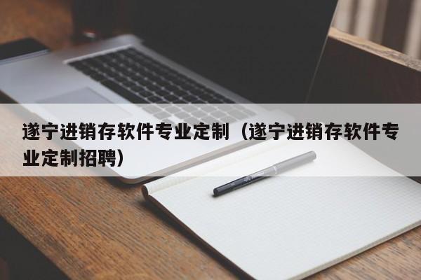 遂宁进销存软件专业定制（遂宁进销存软件专业定制招聘）