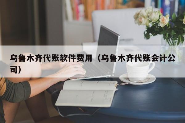 乌鲁木齐代账软件费用（乌鲁木齐代账会计公司）