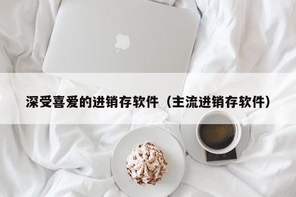 深受喜爱的进销存软件（主流进销存软件）