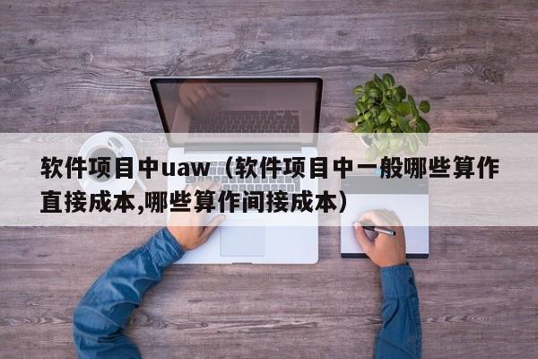 软件项目中uaw（软件项目中一般哪些算作直接成本,哪些算作间接成本）