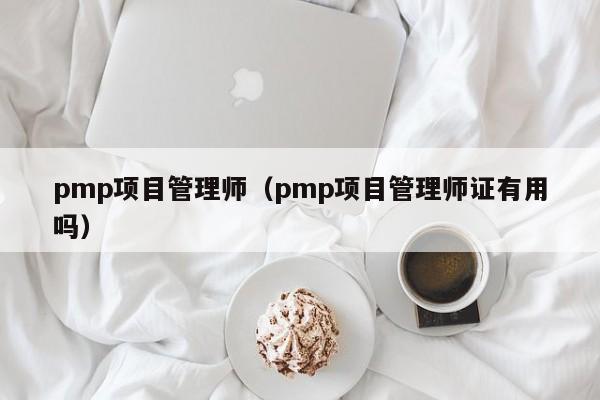 pmp项目管理师（pmp项目管理师证有用吗）