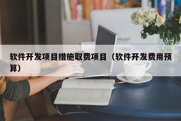 软件开发项目措施取费项目（软件开发费用预算）