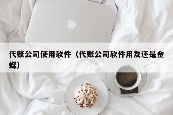 代账公司使用软件（代账公司软件用友还是金蝶）