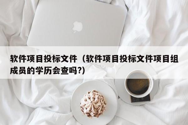 软件项目投标文件（软件项目投标文件项目组成员的学历会查吗?）