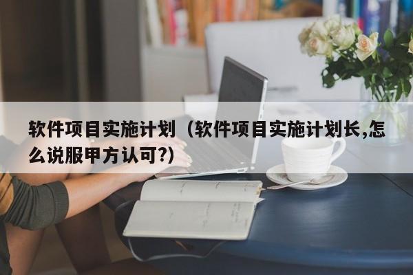 软件项目实施计划（软件项目实施计划长,怎么说服甲方认可?）