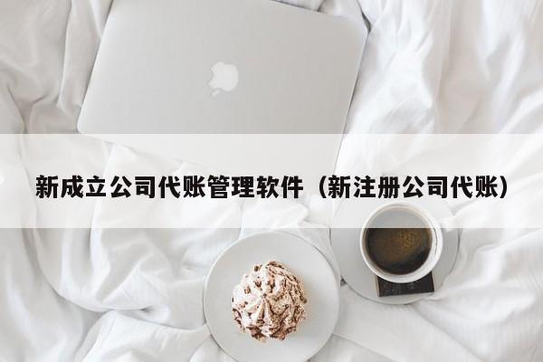 新成立公司代账管理软件（新注册公司代账）