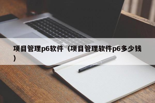 项目管理p6软件（项目管理软件p6多少钱）