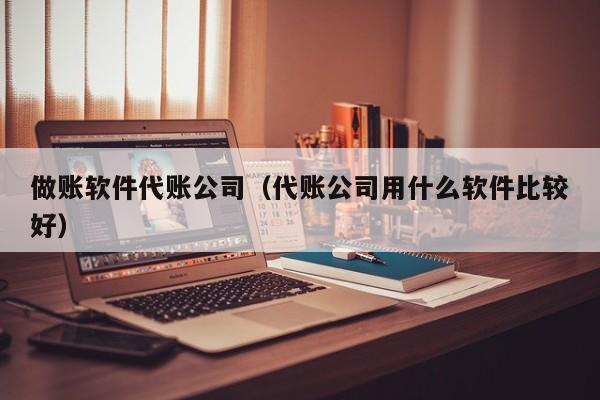 做账软件代账公司（代账公司用什么软件比较好）